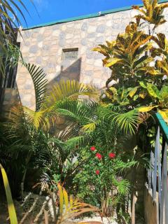 Casa Leon Guesthouse - San José - 8