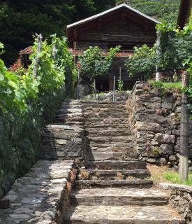 Casa immersa nel vigneto - Roveredo - 8