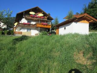 Pension Anna - Bodenmais - 9