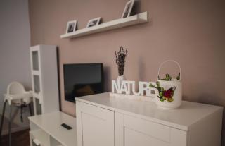 Oldies Apartment - 1