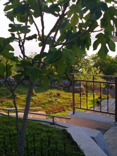 Apartment Senia - Senj - 8