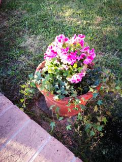 My Tuscany Suites - 8