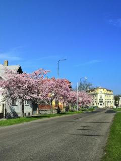 Hotel Modrá hvězda Sadská - Sadská - 9