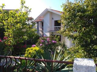 Casa da Piedade, Vouzela - Vouzela - 0