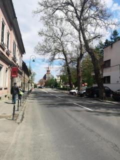 Clemence Guesthouse - Braşov - 4