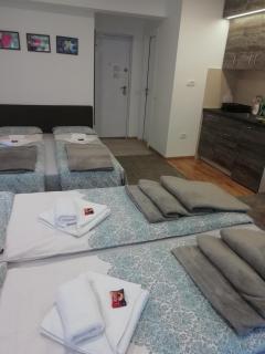 Apartman Centar 1 - Užice - 8