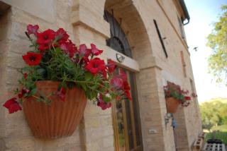 Fattoria Nonno Neno B&B - Appignano - 8