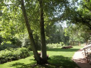 Kohl's Ranch Lodge - Payson - 3