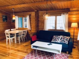 Vasa Ski Lodge - Mora - 1
