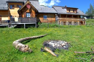 Thomahofhuette - Tauplitzalm - 2