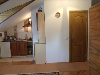 Квартира-студия в стиле Шале - 5