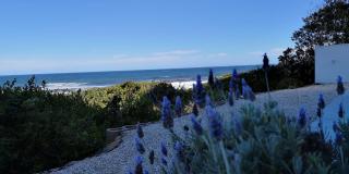 Beach Villa Apartment - Hermanus - 2