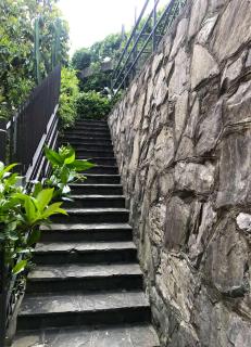 Villa Chichizola - Rapallo - 7
