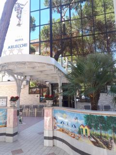 Hotel Arlecchino - Milano Marittima - 6