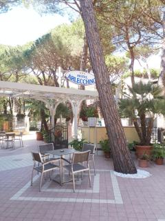 Hotel Arlecchino - Milano Marittima - 8