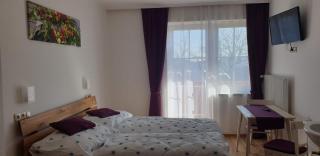 Huberhof im Almenland - Sankt Kathrein am Offenegg - 4