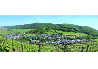 19 Im Herrenfeld - Burgen - 9