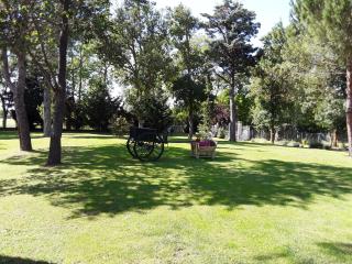 LA LOUISIANE 31 - Villefranche-de-Lauragais - 5