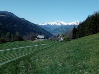 Turmhaus am Perschlhof - 5