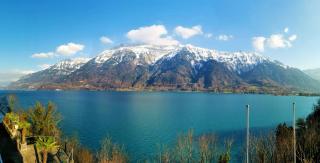 Hotel Brienzersee - Ringgenberg - 5