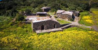 2 Gatti - Sogno - Pantelleria - 0