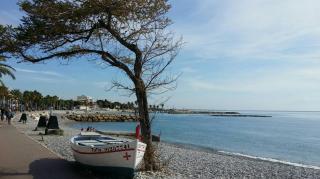 Le Laurier - Cagnes-sur-Mer - 0