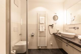 Bollenhuthotel Kirnbacher Hof - Wolfach - 4