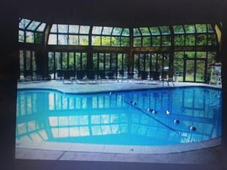 106 Village at Camelback - Tannersville - 7