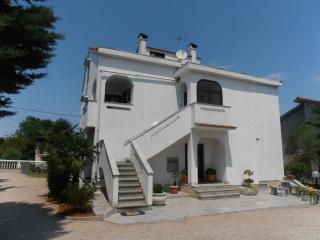 Apartment Dragica - 8