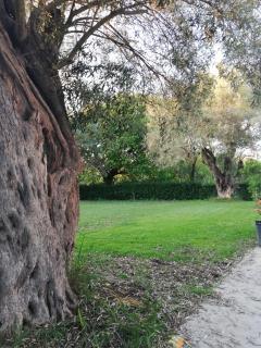 La Casa di Caterina - Città di Lefkada - 4