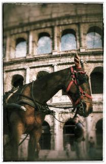 Casa Vacanza Katiuscia - Rome - 5
