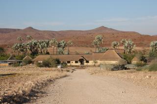 Palmwag Lodge - Palm - 8