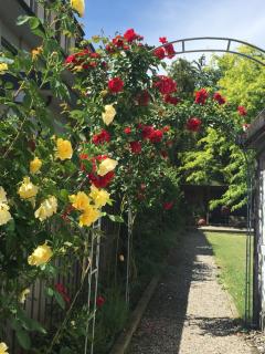 Habsburg B&B - Bern - 7