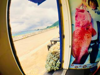 Fei Yu Fei Beach Hostel - Lanyu - 0