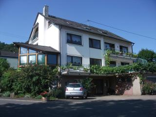 Appart-Pension-Schier - Zell an der Mosel - 9