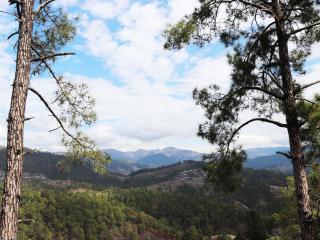 Shivalik River Retreat - Almora - 9