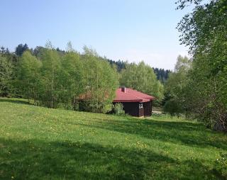 Szałas Muflon - Mufflonhütte - 6