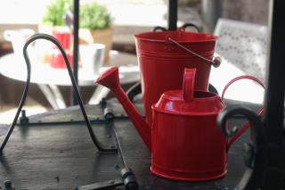 La Vela - Rovigno (Rovinj) - 5