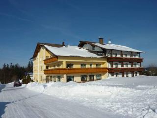 Hotel Märchenwald - Haidmühle - 9