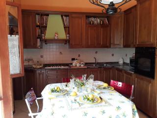 Kevin House - Marlia - 1