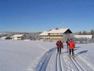 Hotel Märchenwald - Haidmühle - 4