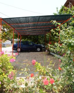 Theodore Apartments - 2