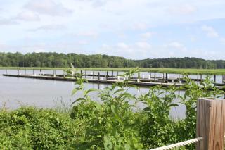 Surry Seafood Company - Surry - 1