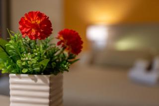 B&B Cairoli - Messina - 5