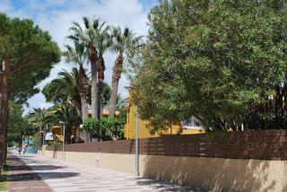 Apartamentos Les Palmeres - Platja d'Aro - 6