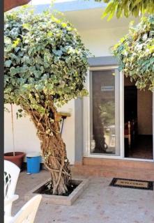 Riverside Apartments Chiara - Ulcinj - 2