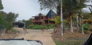 Escape 1770 Motel - No Kids - NO SMOKING - No Partying - 2