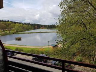 Haus am See HS 337 - Hahnenklee-Bockswiese - 2