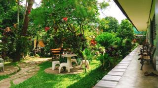 Baan Bua Guest House - Chiang Rai - 2