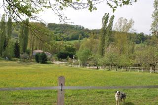 Gîte du moulin du Petit - 5